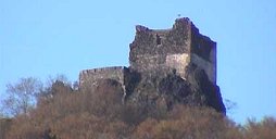Star Bertejn